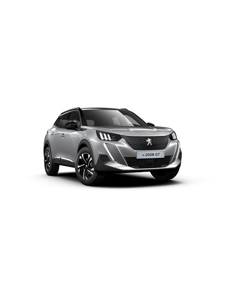 2008 - MOTOR ELECTRIC 136 CP (100 KW) - BATERIE 50 KWH - Echipare GT