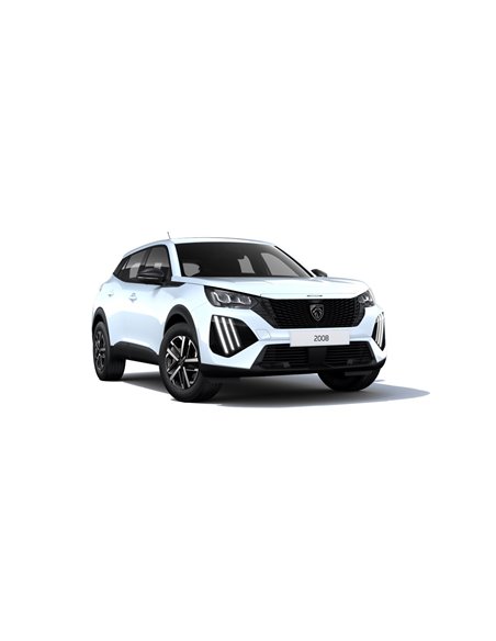 2008 - HYBRID 136 E-DCS6 - Echipare STYLE